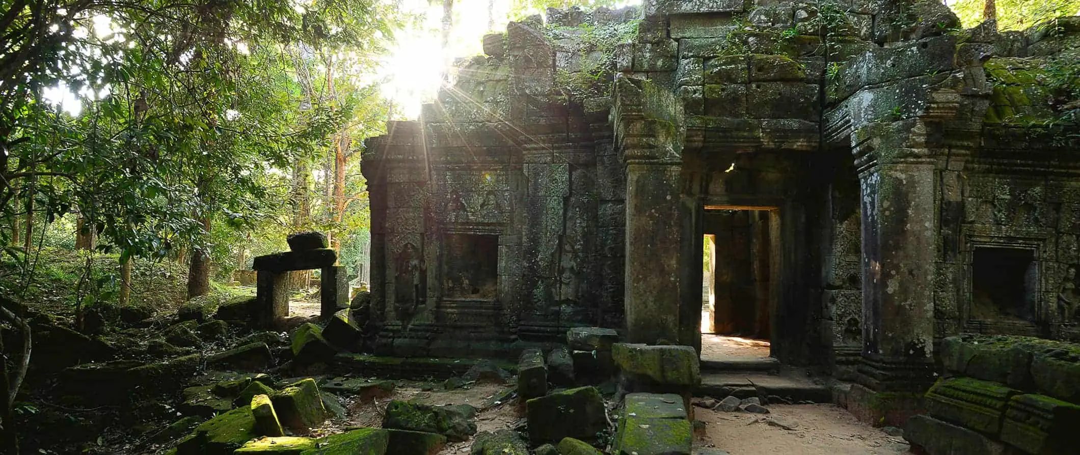 Sebuah kuil hutan purba di Angkor Wat yang dikelilingi oleh pokok-pokok yang rimbun dan kehijauan