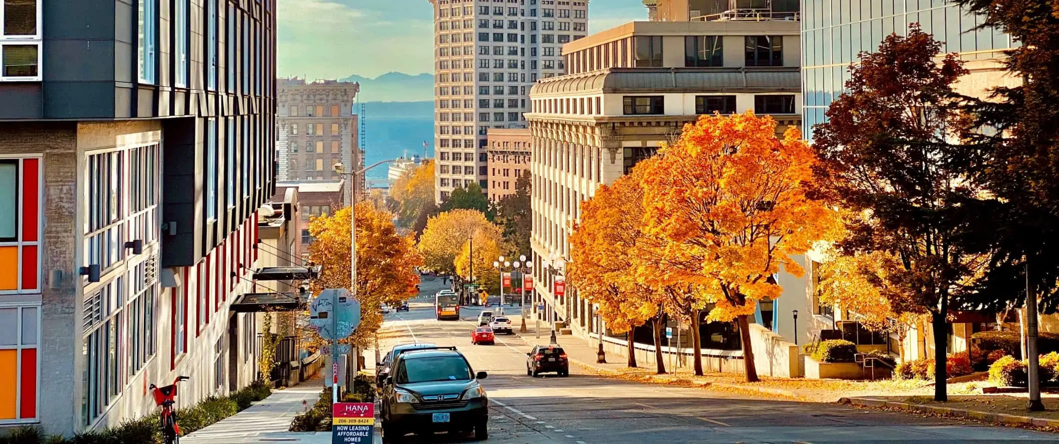 Gatelandskap med bygninger som fører ned til vannkanten i Seattle, Washington.