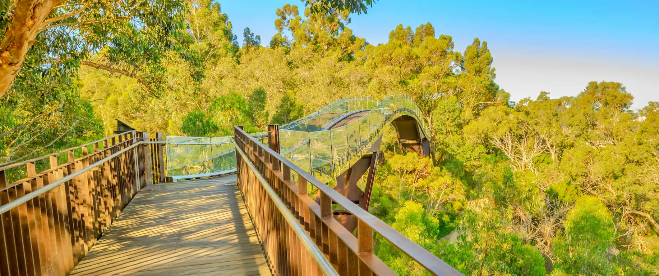 En kølig strandpromenade gennem frodige grønne områder nær Perth, Australien