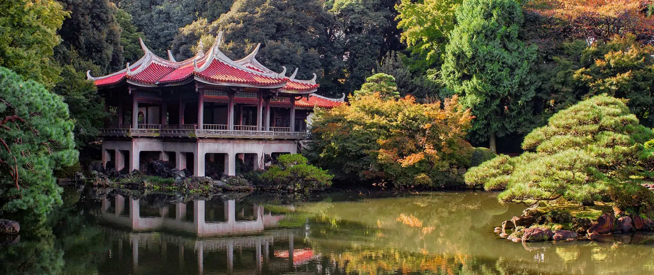 un antico tempio in Giappone circondato da alberi rigogliosi vicino a un piccolo lago