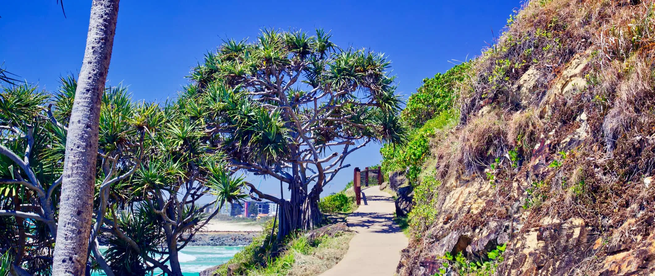 Isang makitid na landas sa hiking sa isang maaraw na araw sa Gold Coast, Australia