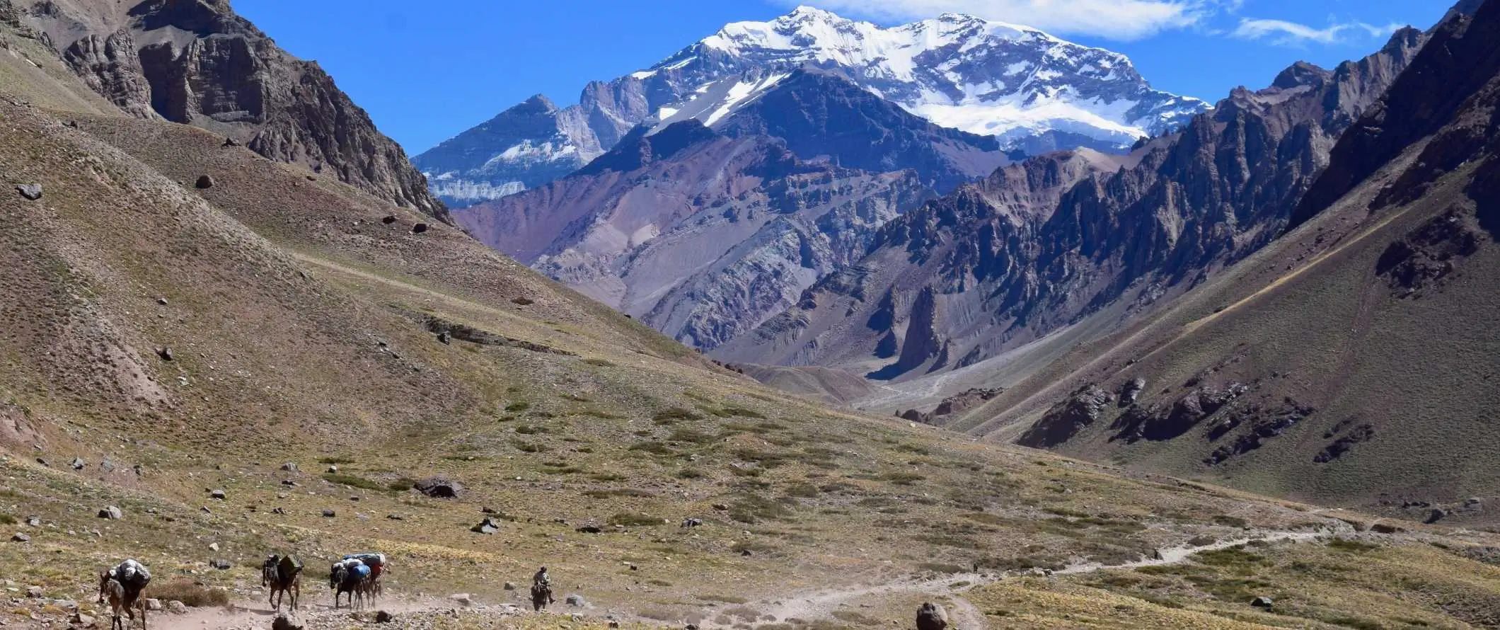 Sbalení osli a lidé, kteří jdou po prašné cestě s tyčícími se horami v pozadí poblíž Mendozy, Argentina