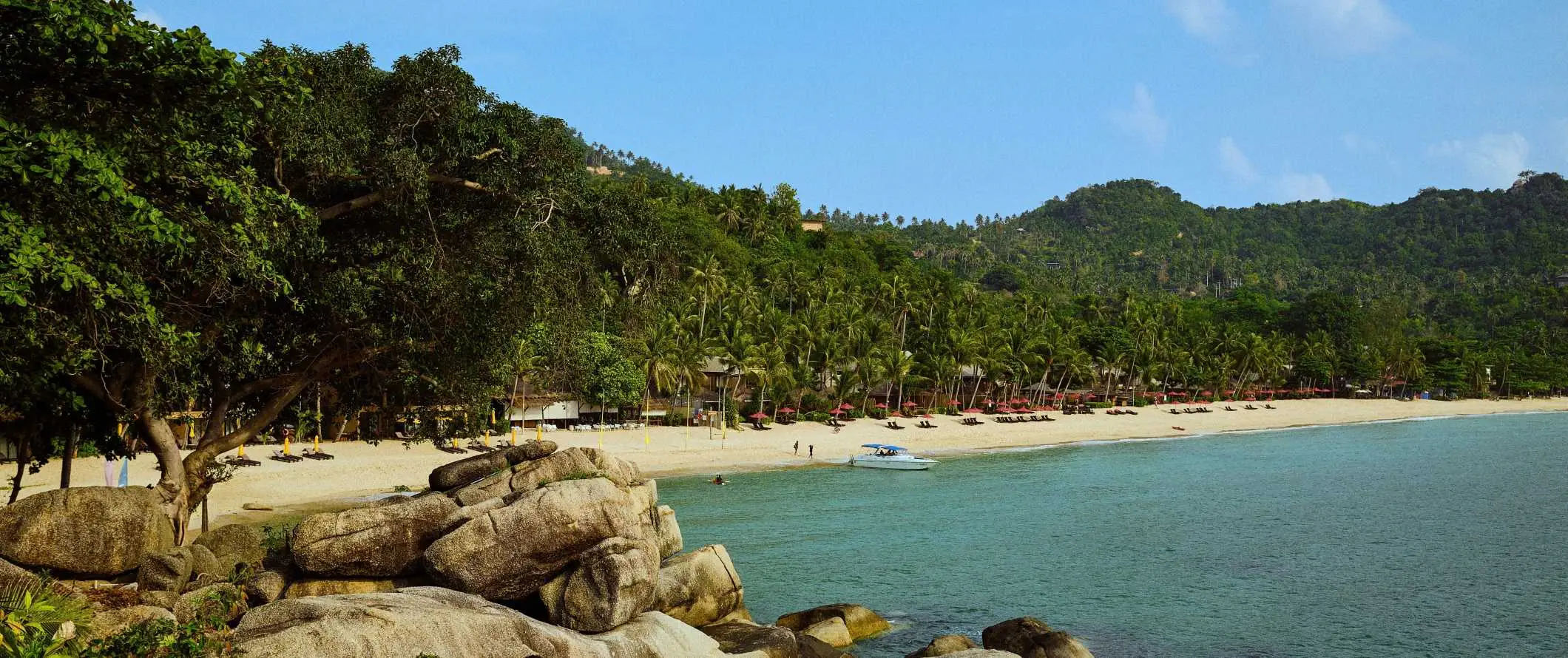 En sandstrand kantad av solstolar och palmer på ön Ko Pha Ngan, Thailand vid solnedgången över havet