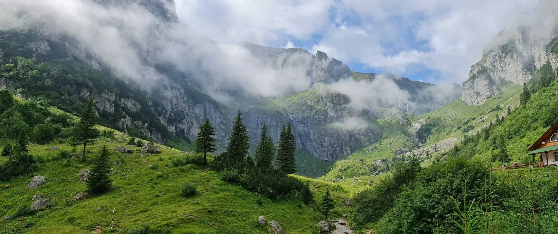 Карпаты, покрытые туманом, в Украине