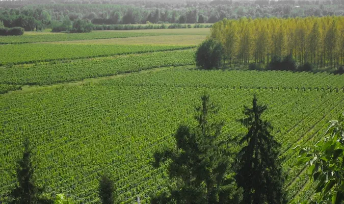 bLos extensos campos verdes de Francia