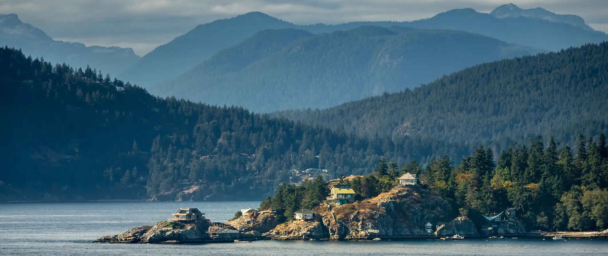 widok na bujną przyrodę i lasy wyspy Vancouver w Kanadzie