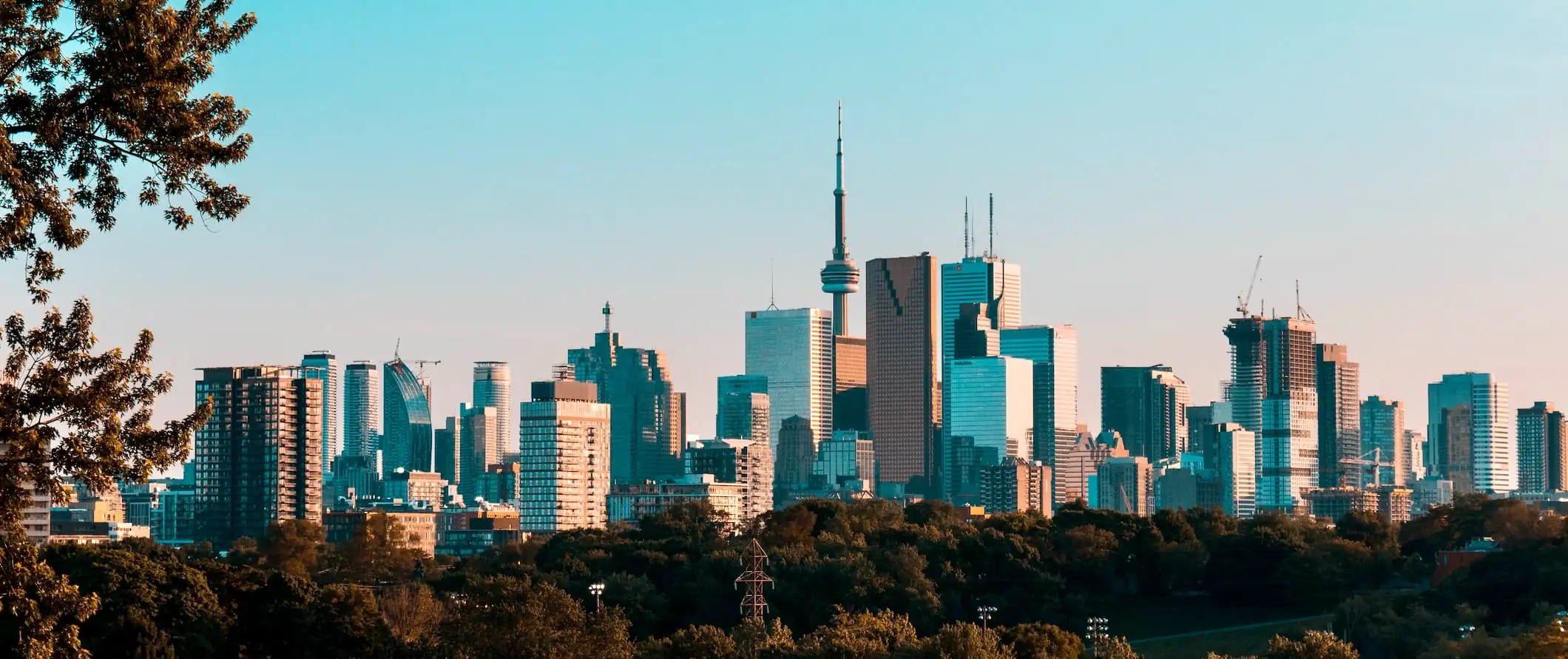 Panorama Toronto, Kanada z mnóstwem drzew i zieleni na pierwszym planie