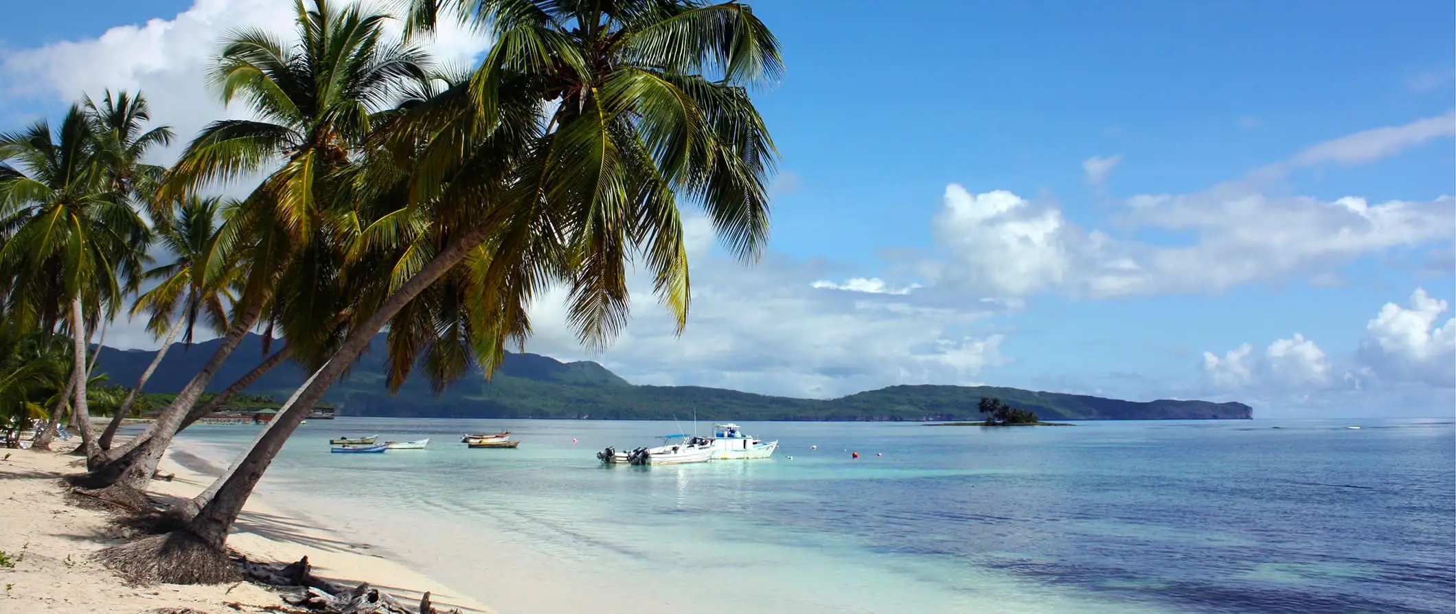 Isang malinis na beach sa Bermuda, na nagtatampok ng malalagong berdeng mga palm tree at maliwanag na asul na kalangitan