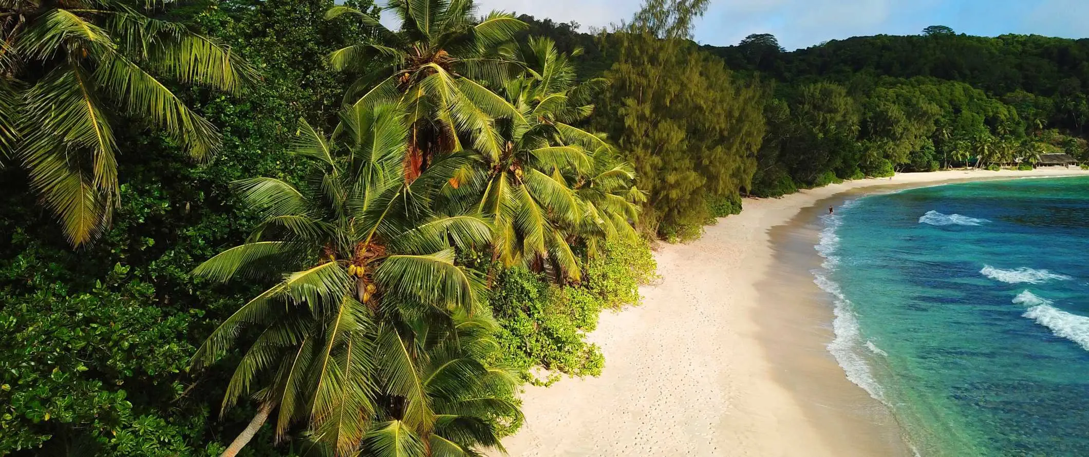 Nahaufnahme des von Palmen gesäumten Strandes an der Küste der Yasawa-Inseln in Fidschi