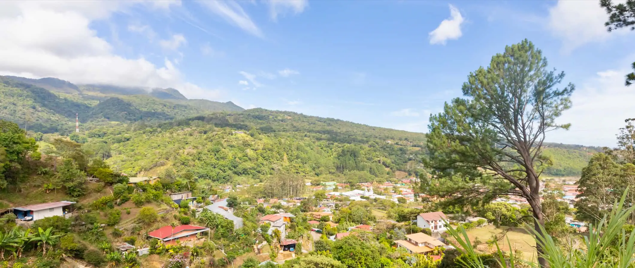 Exuberante vegetación a lo largo del río en Boquete en un día soleado