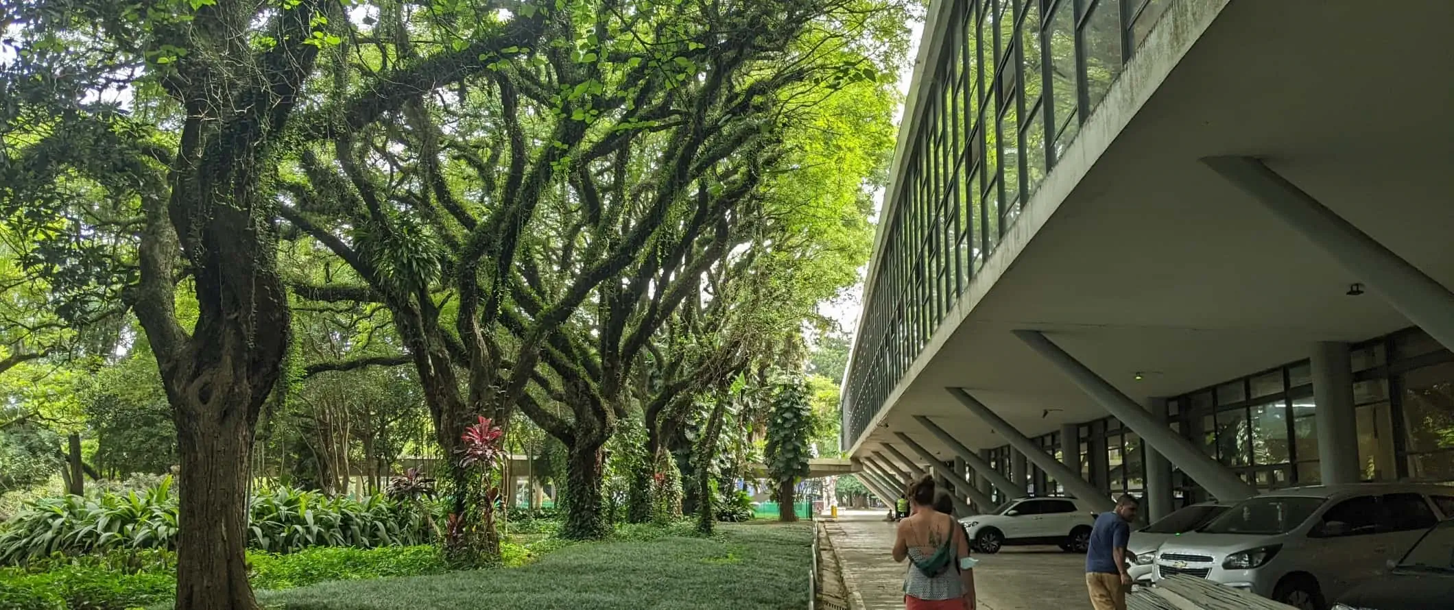 Le Museu Afro Brasil dans le parc d'Ibirapuera à São Paulo, Brésil