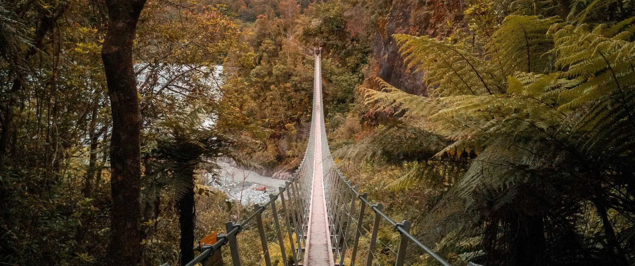 Historische slingerbrug door het weelderige bladerdak in Franz Josef, Nieuw-Zeeland.