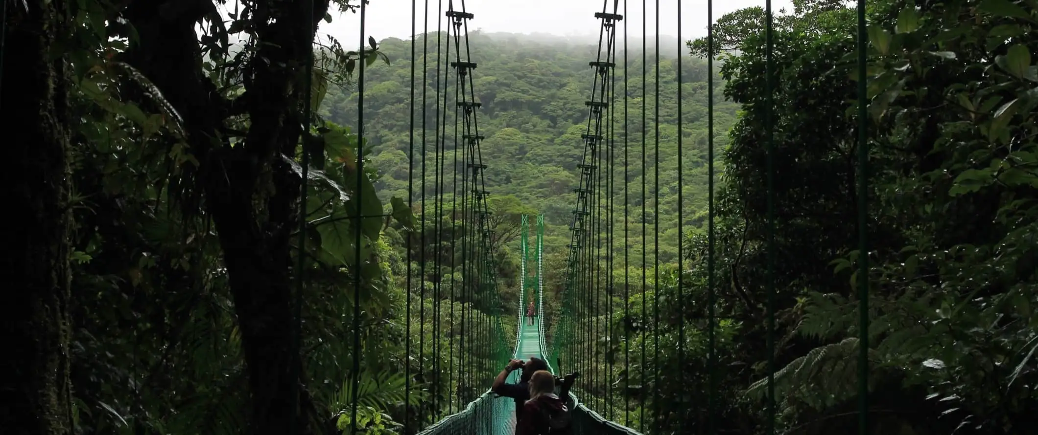 Människor som går över en hängbro i molnskogen i Monteverde, Costa Rica