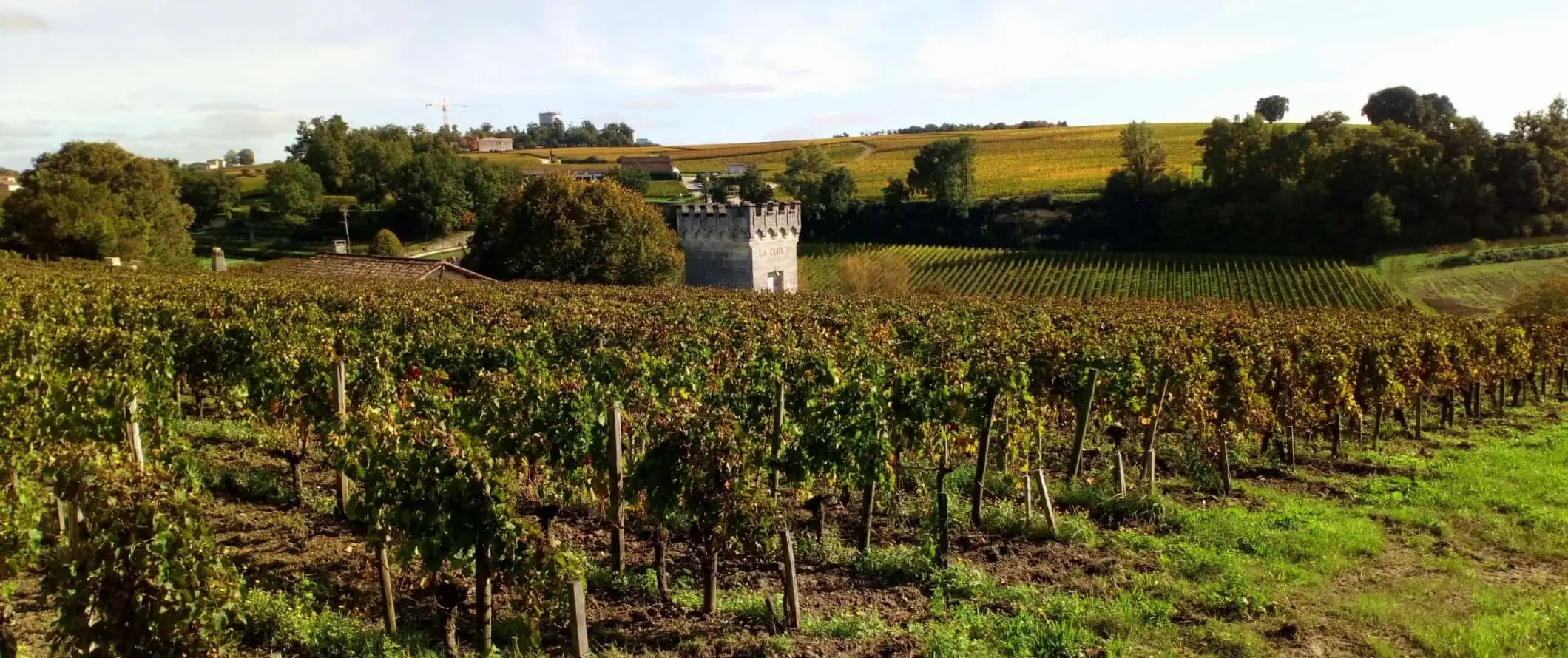 Fransa'nın Saint Emilion kentinde bir üzüm bağı, küçük tarihi kale kulesi ve inişli çıkışlı tepeler