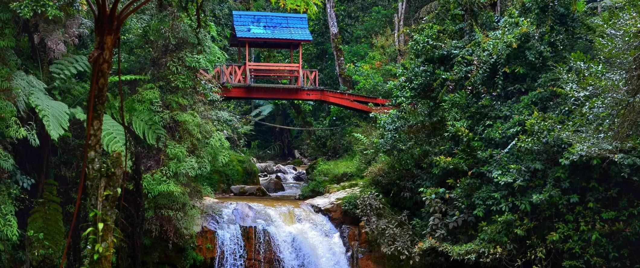 Egy vörös híd, amely áthalad egy folyón a malajziai Cameron Highlands dzsungelében