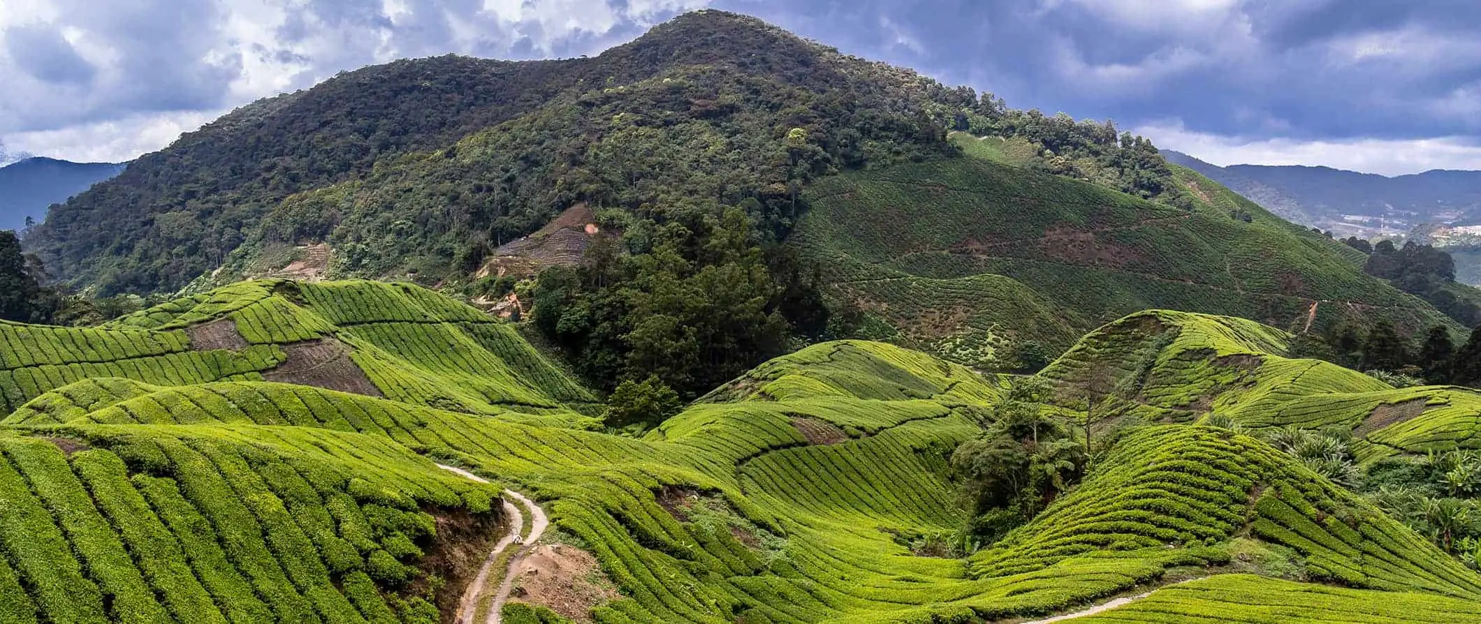 Vista deslumbrante de Cameron Highlands, Malásia e suas exuberantes colinas verdes