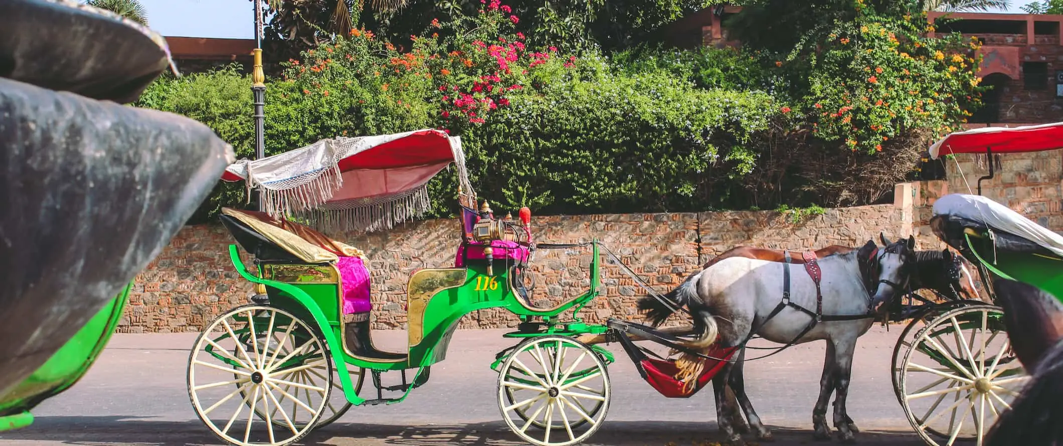 Egy ló és egy buggy parkolt az út szélén Marrakeshben, Marokkóban