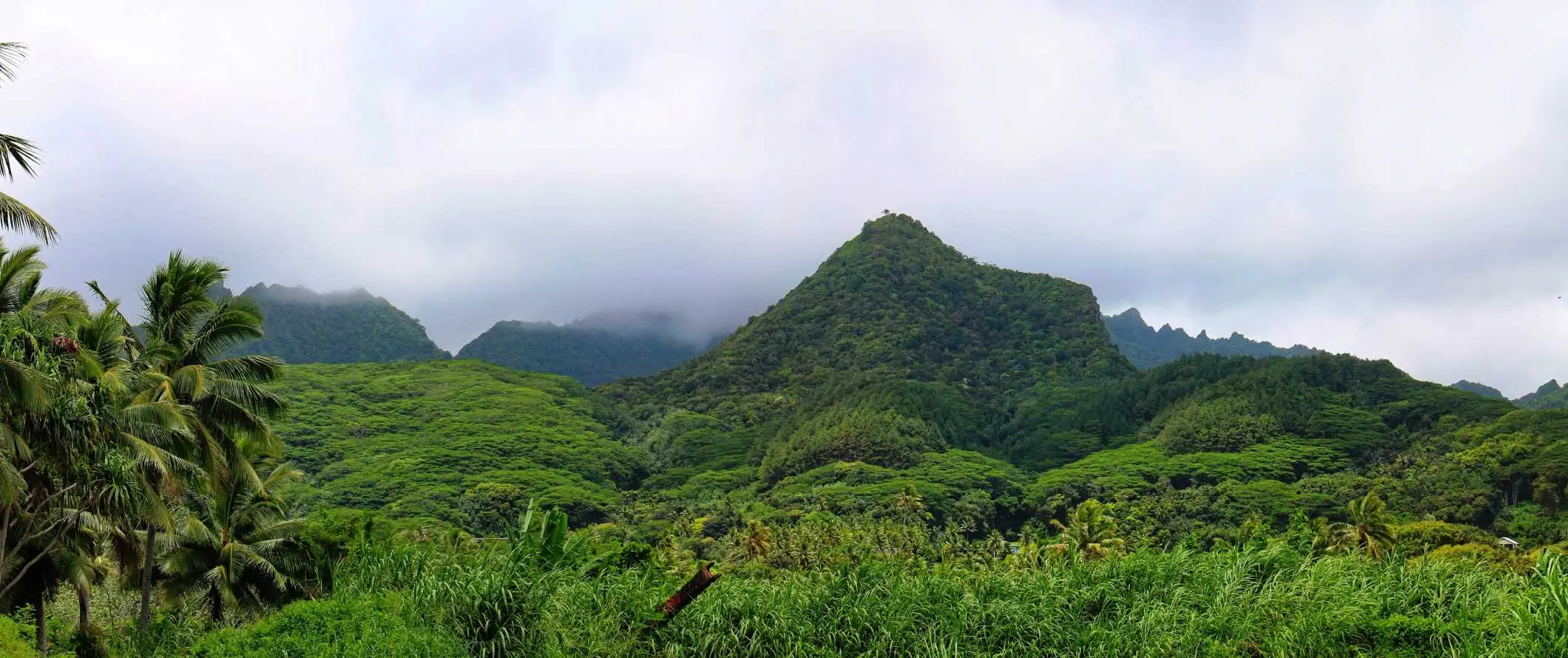 Pergunungan hutan rimbun di pulau Rarotonga di Kepulauan Cook