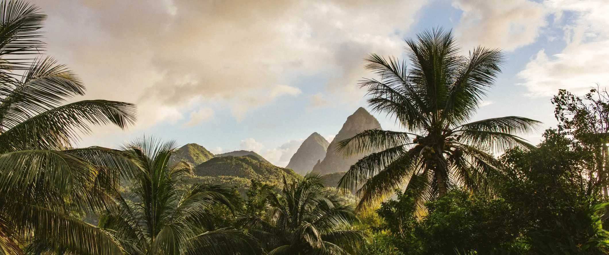 Palmer og skarpe fjelltopper i det fjerne fra den karibiske øya Saint Lucia