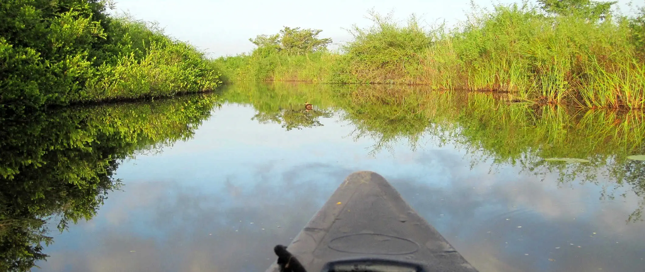 kayaking sa pamamagitan ng mga bakawan sa Orange Walk, Belize