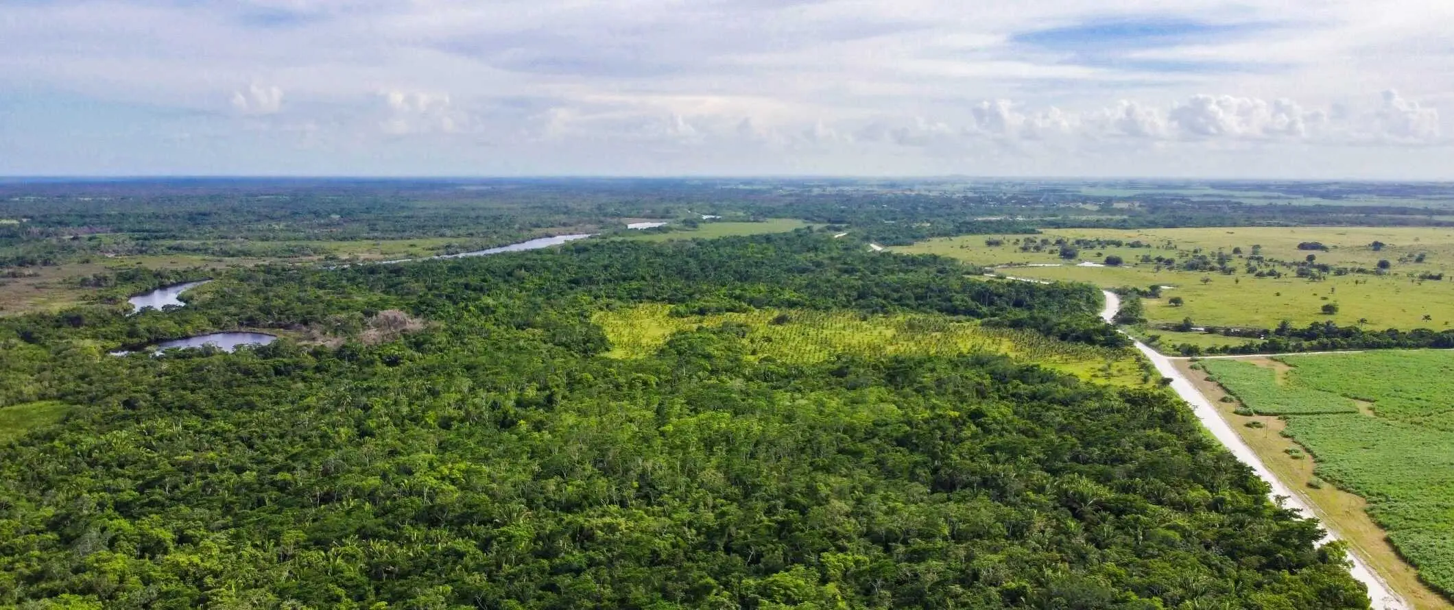 Drone view ng luntiang landscape ng Orange Walk sa Belize