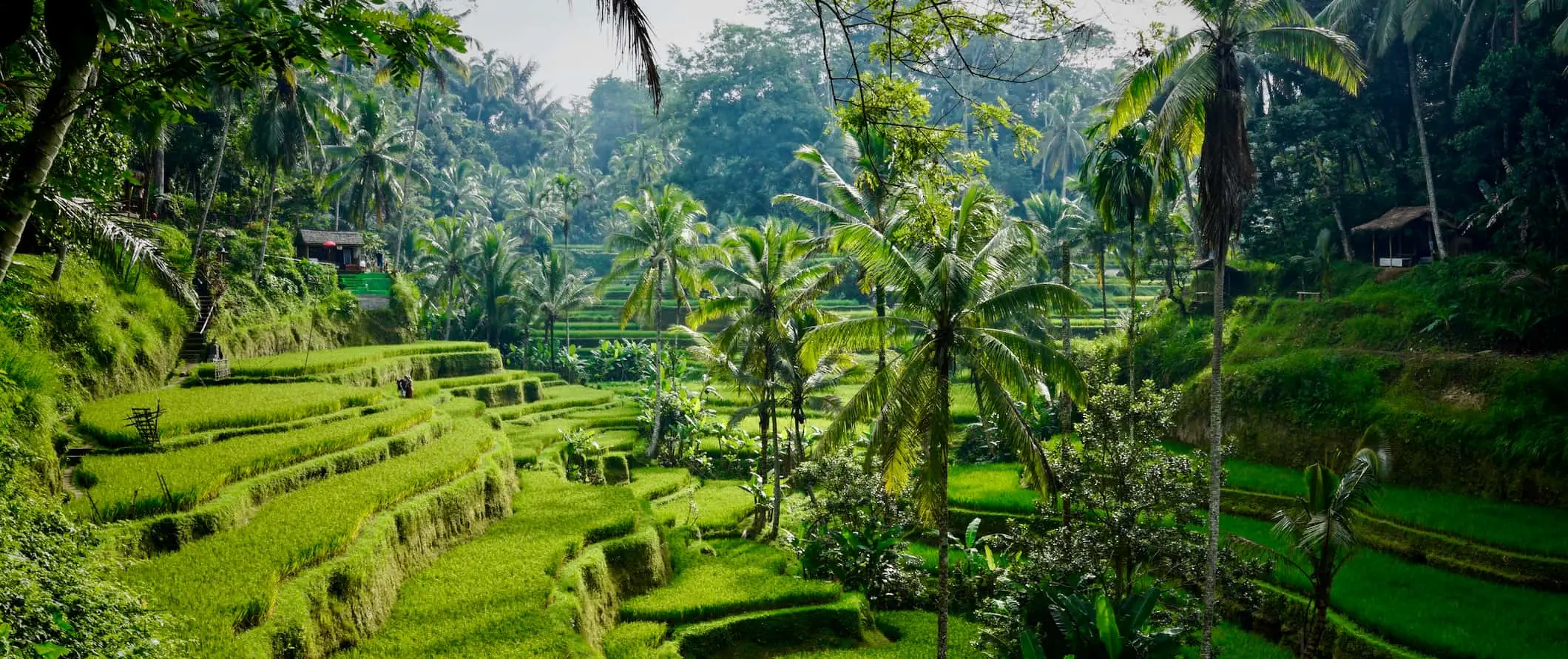 Una platja accidentada a Bali, Indonèsia, envoltada d'arbres verds en un dia assolellat