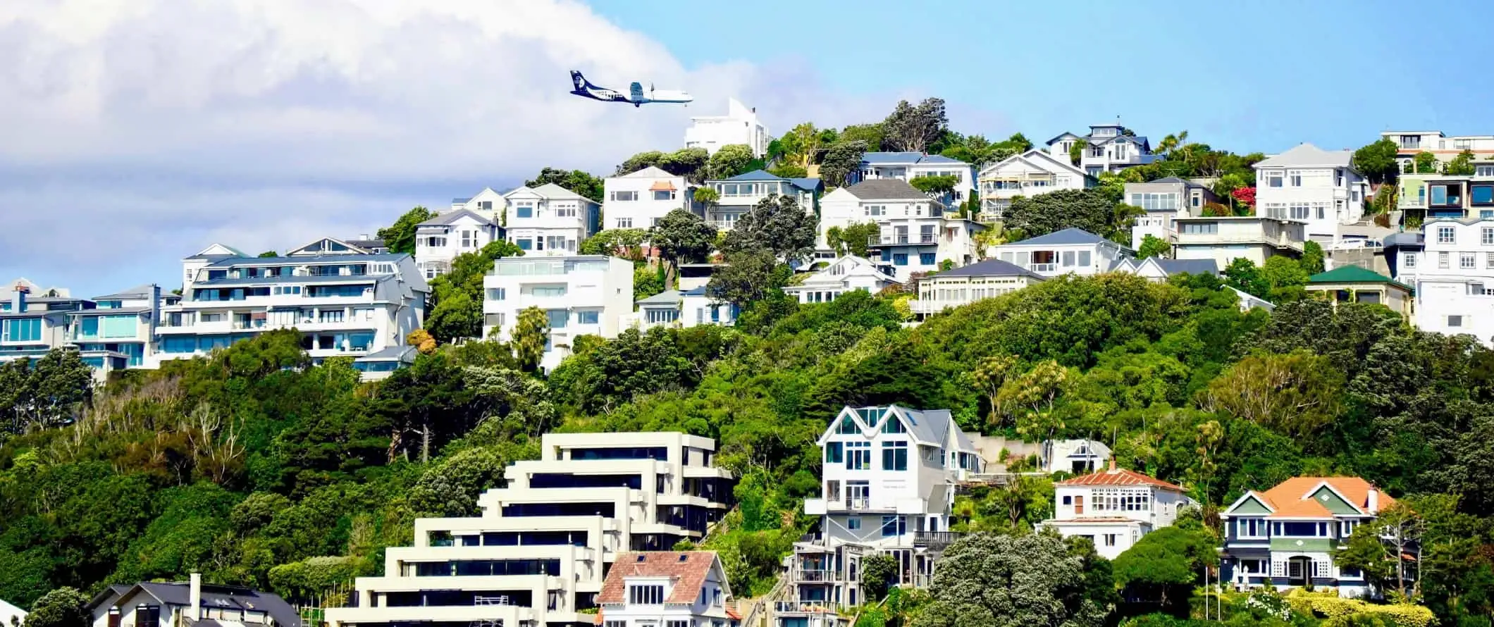 Molte case si trovano su una collina verde lussureggiante, con un aereo che vola sopra a Wellington, in Nuova Zelanda.