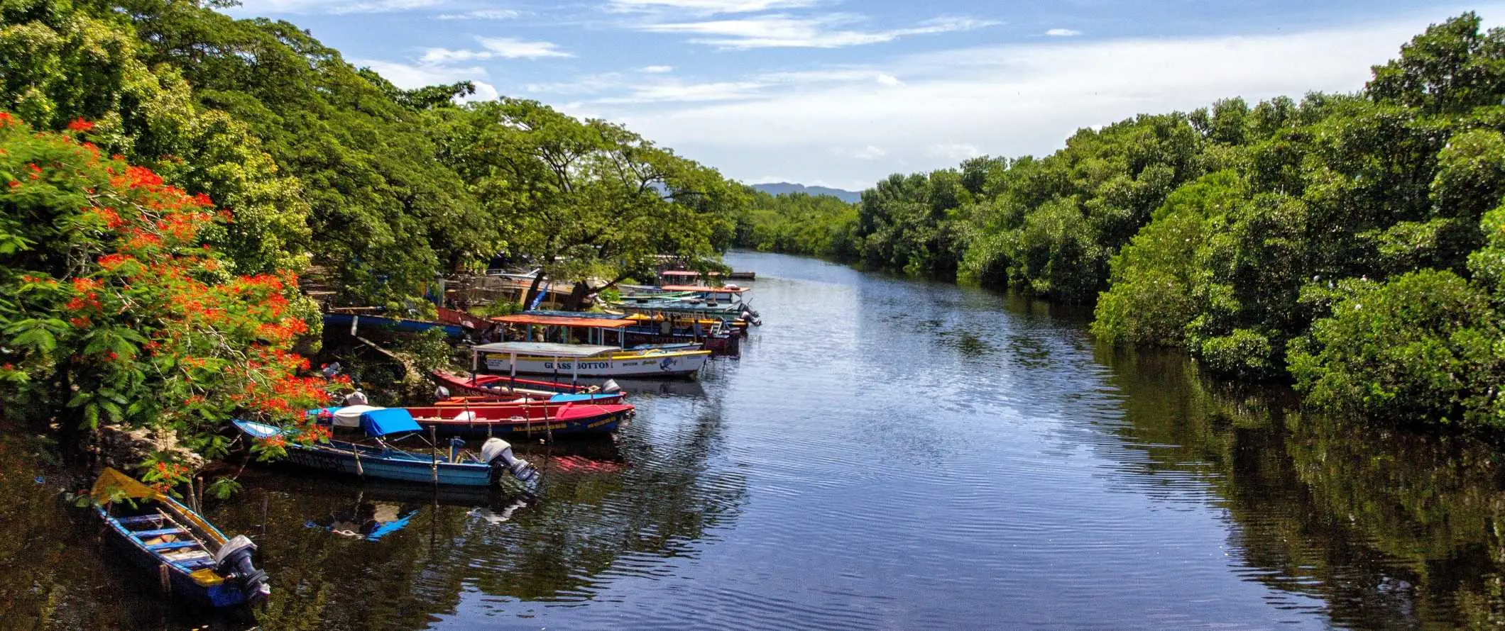 Perahu diparkir di sepanjang jalur air yang dikelilingi oleh tanaman hijau di Jamaika