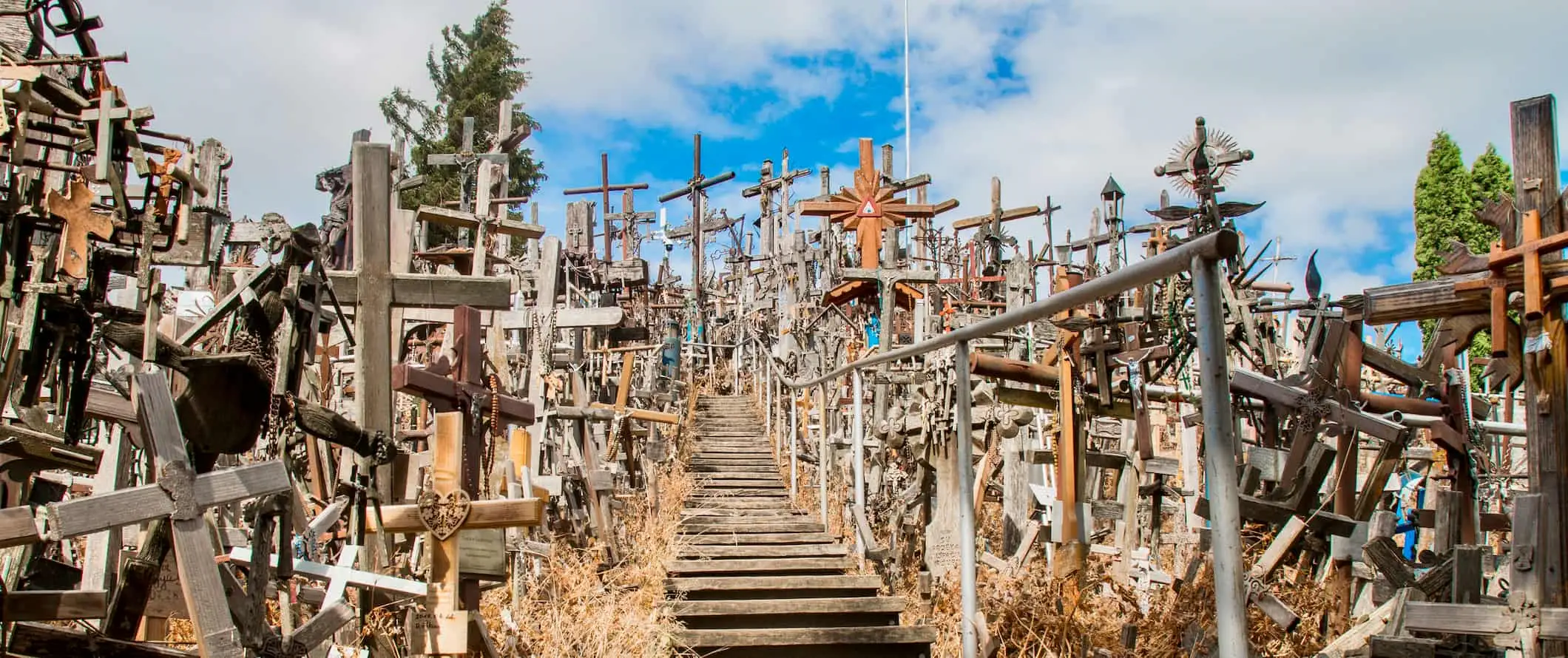 Bâtiments historiques entourés de forêts luxuriantes et vertes en Lituanie par une journée ensoleillée