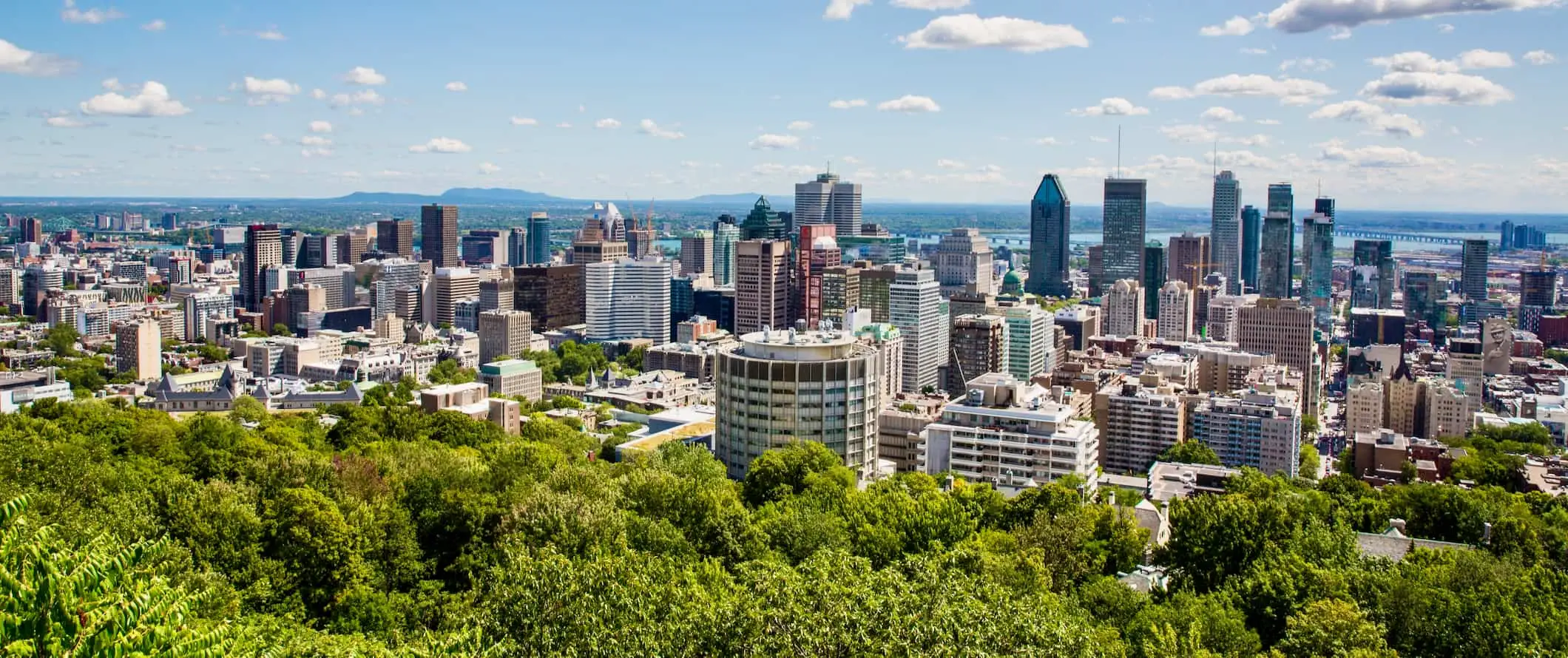 가을 동안 몽 로얄(Mont Royal)에서 전경에 붉은 잎이 변하는 몬트리올의 전망