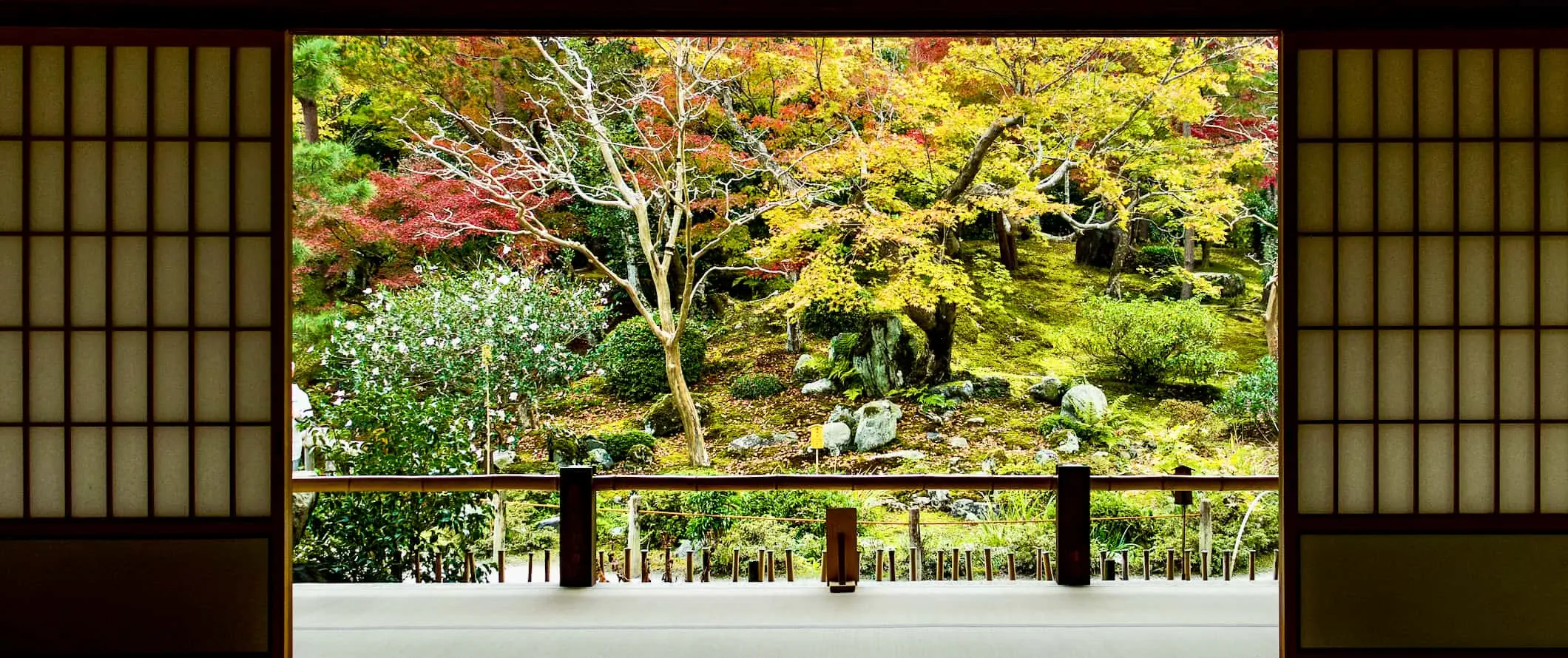 日本の京都に数多くあるリラックスできる仏教寺院の 1 つからの美しい眺め