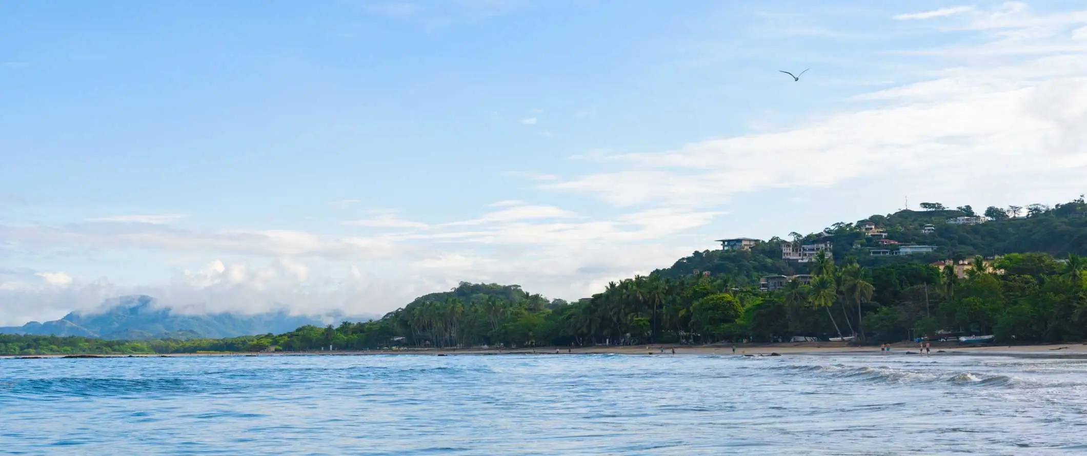 Isang beach na may linya ng mga palm tree sa Tamarindo, Costa Rica