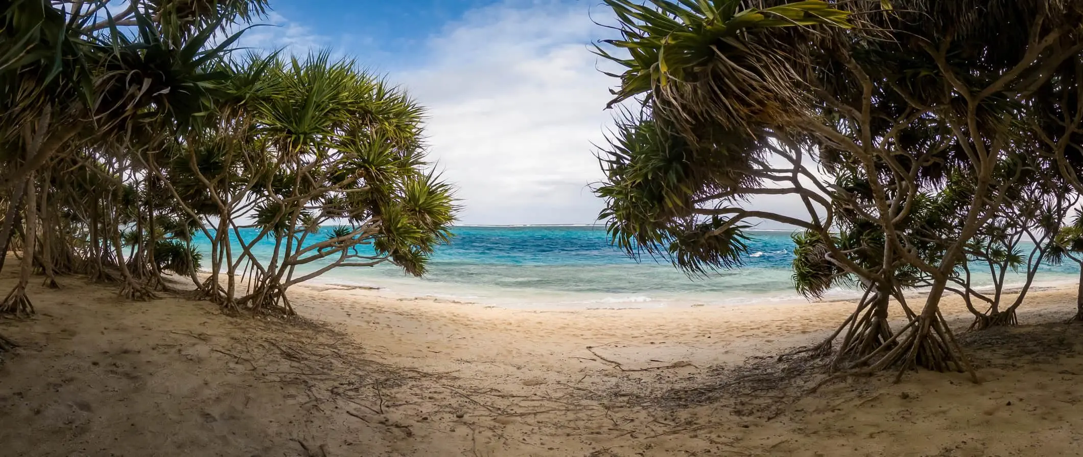 En vit sandstrand i Vanuatu, med kristallklart vatten och tropiska växter som ramar in utsikten