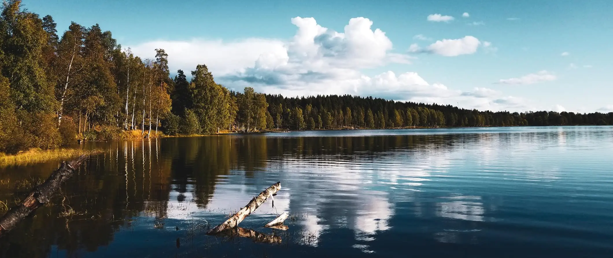 Det vackra vildmarksområdet strax utanför Oslo, Norge under en solig sommardag