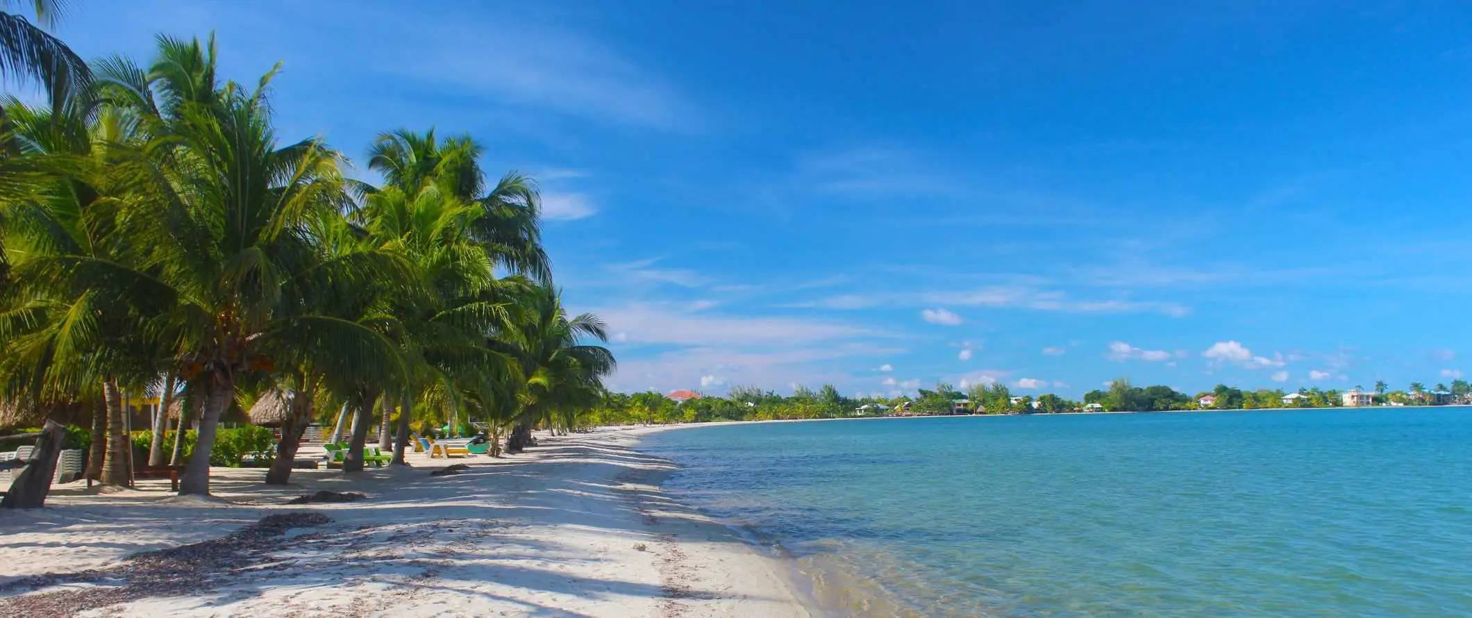 Pantai indah dengan deretan pohon palem di Placencia, Belize