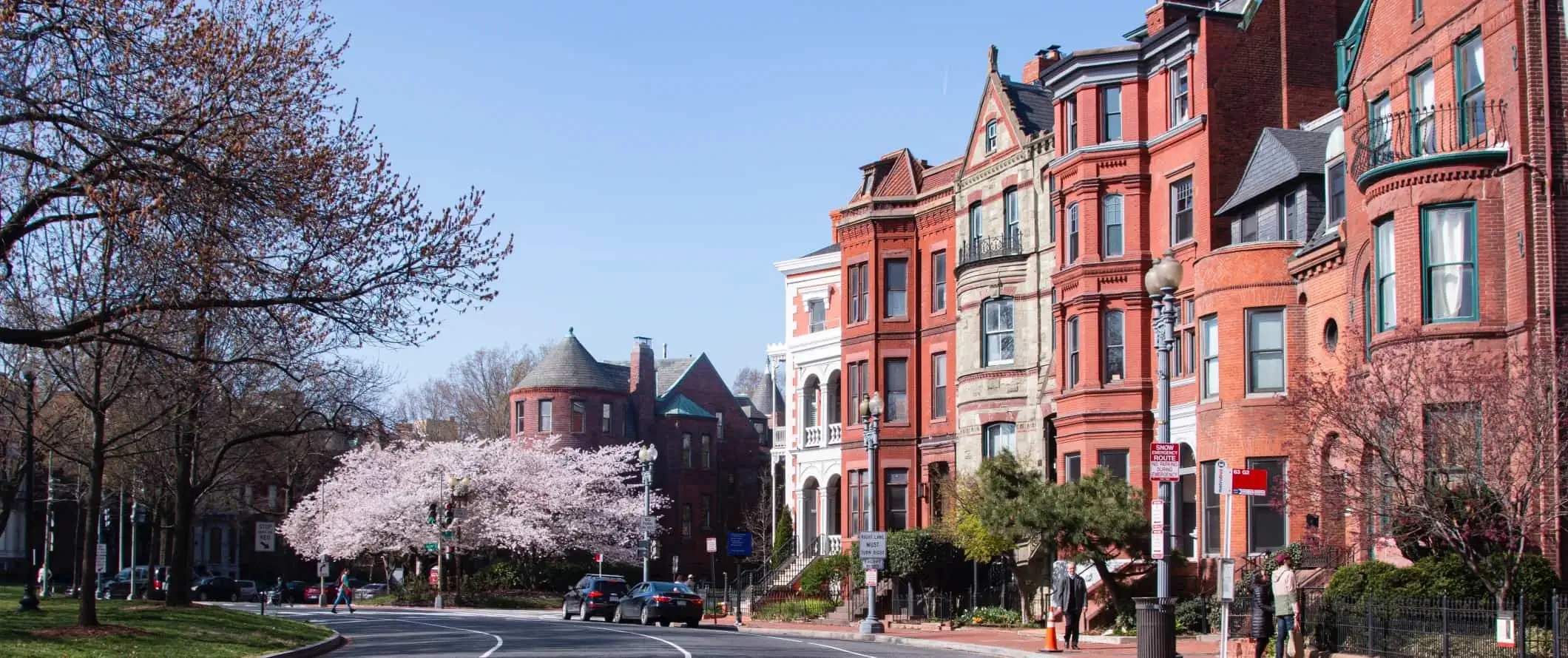 Edificis històrics de maó vermell i cirerers en flor a Washington, DC.