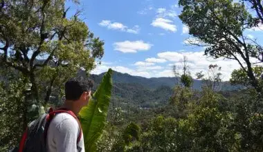 Những điều hàng đầu cần xem và làm ở Madagascar