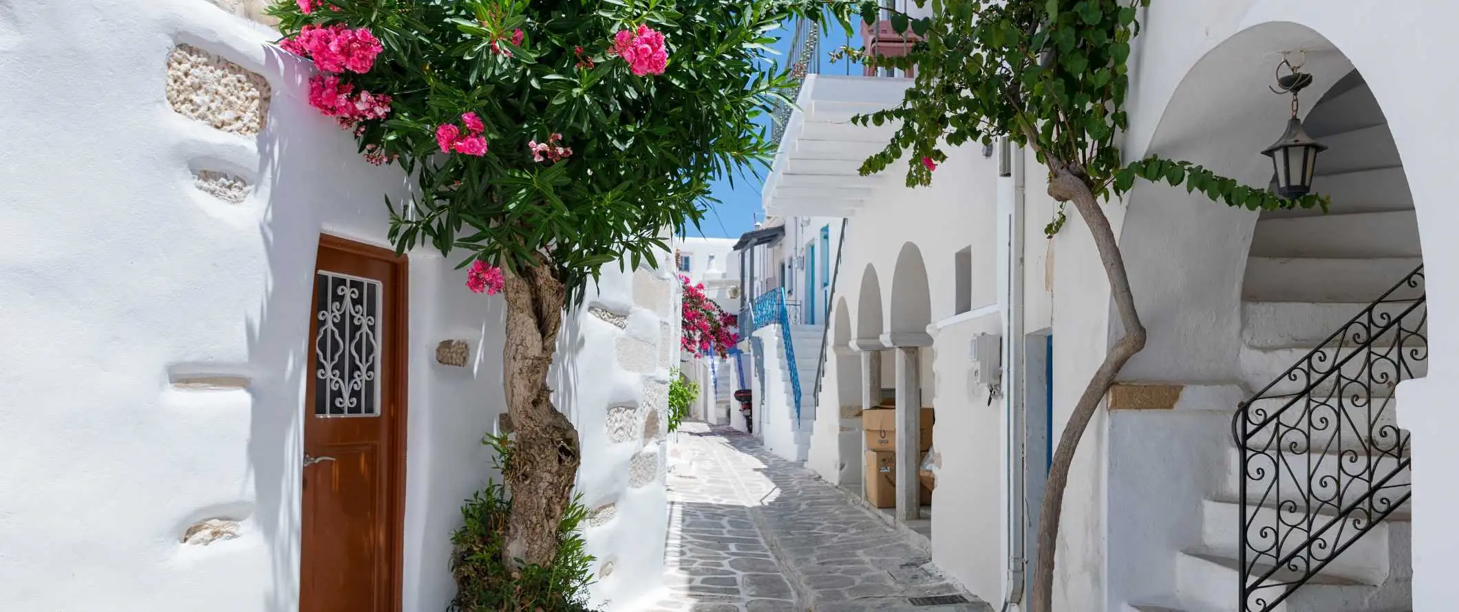 Calle bordeada de losas con casas blancas a ambos lados en la isla de Santorini en Grecia.