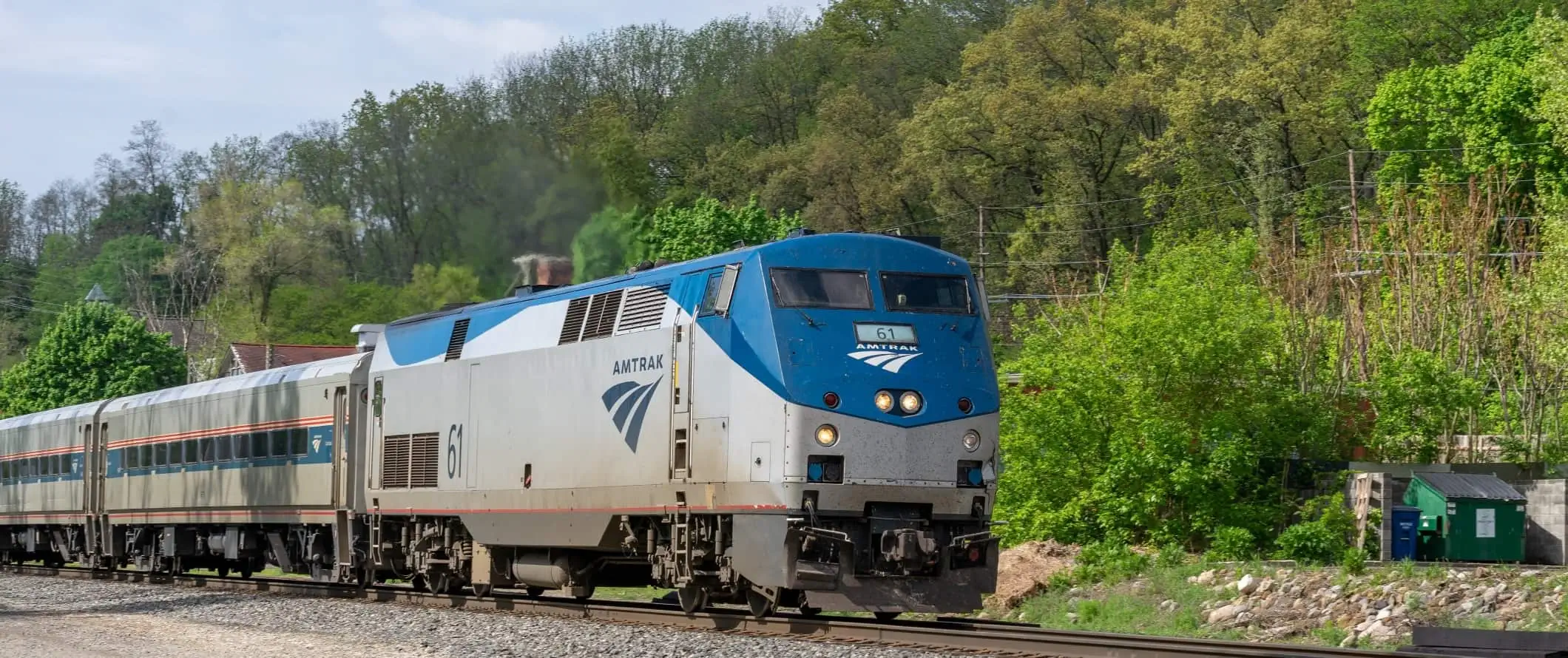 Поезд Amtrak проезжает сквозь деревья в США.