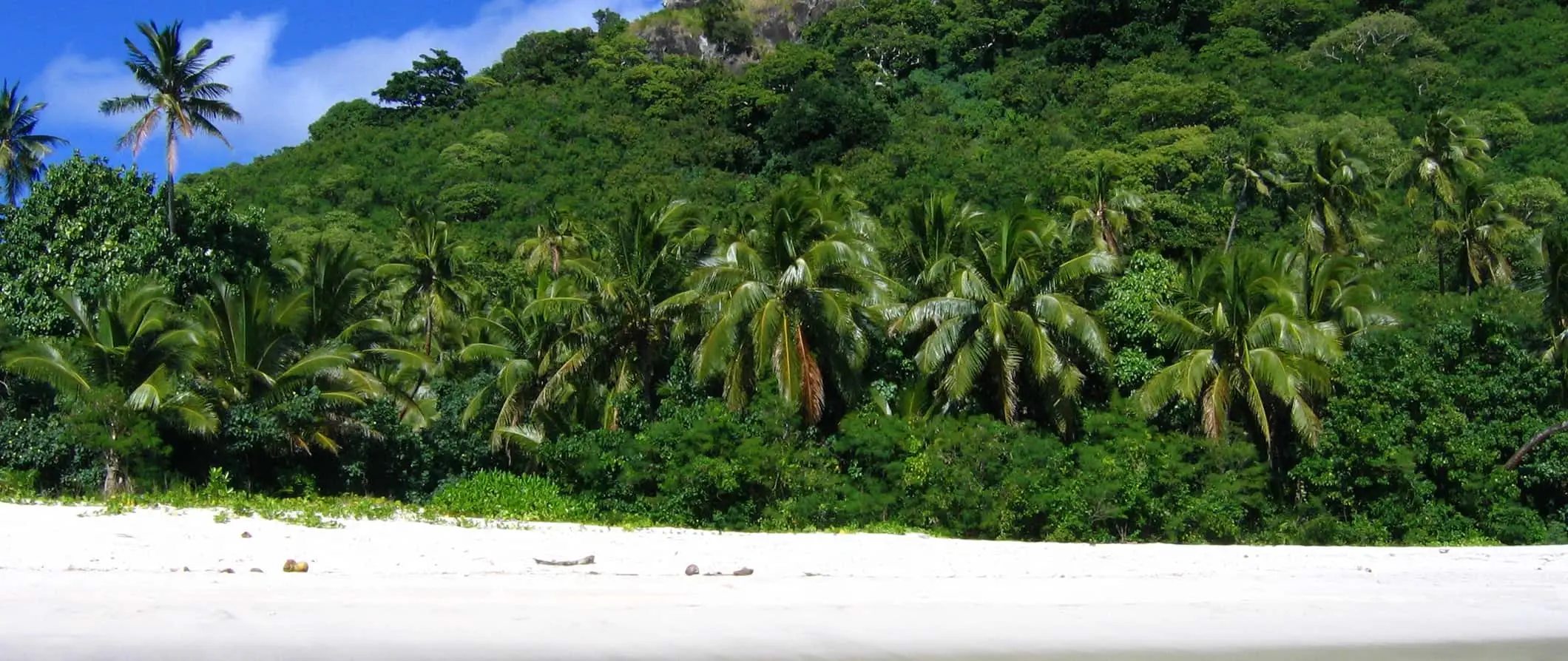 Pemandangan hutan hijau subur di sepanjang pantai cerah Kepulauan Yasawa di Fiji