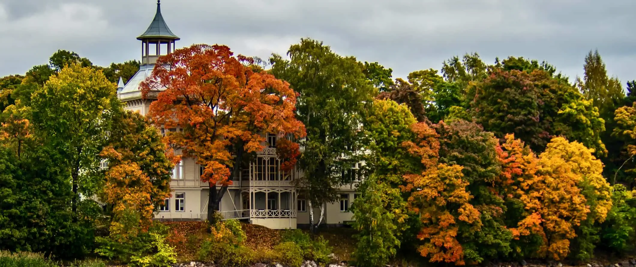 kleurrijke bladeren in een park in Helsinki, Finland in de herfst