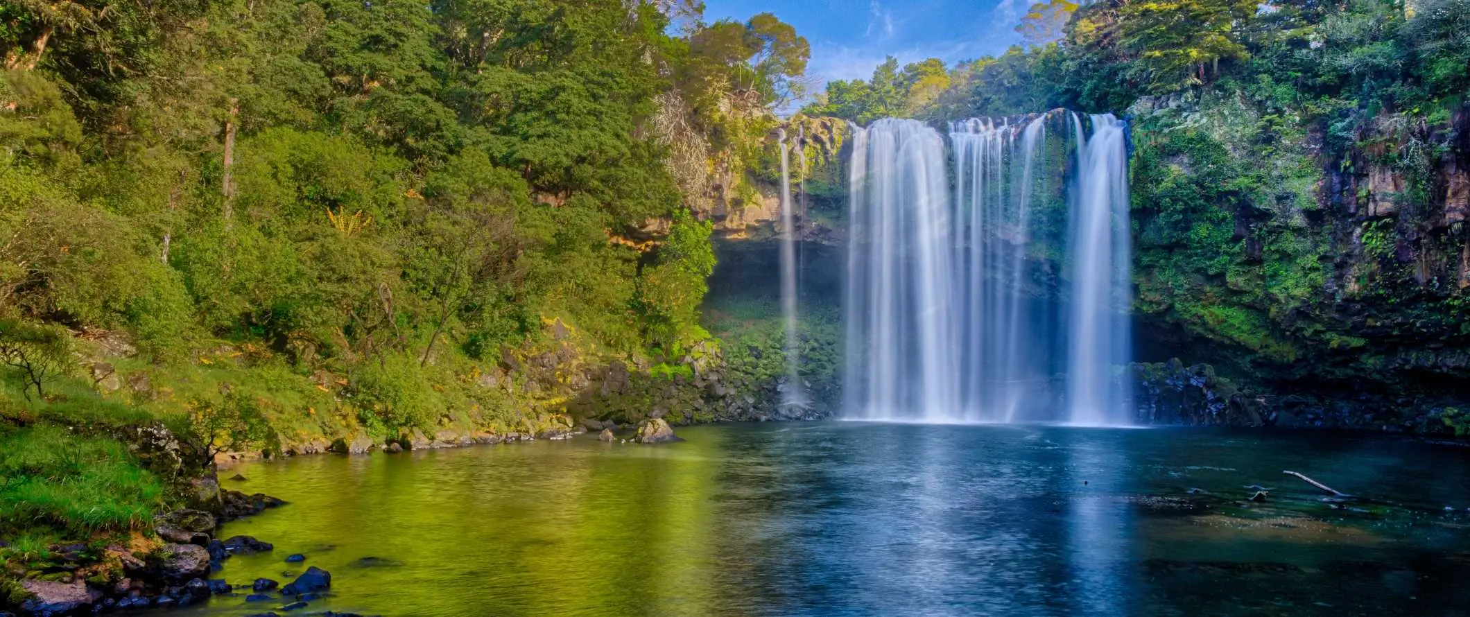 레인보우 폭포(Rainbow Falls)는 뉴질랜드 베이오브아일랜즈 숲 속 대형 수영장으로 이어지는 그림 같은 폭포입니다.