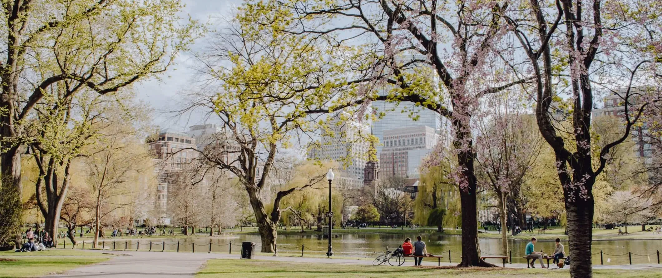 Orang-orang duduk di sekitar kolam dengan bunga sakura bermekaran dan bangunan di kejauhan di Taman Umum Boston di Boston, Massachusetts.