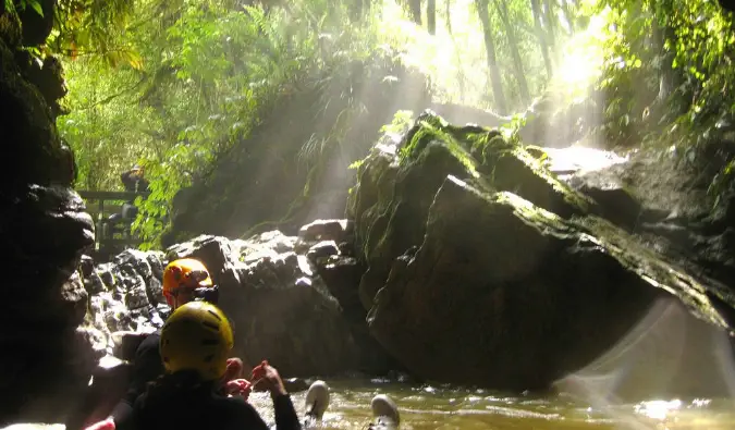 Świecące robaki Waitomo